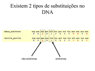 Existem 2 tipos de substituições no
DNA
Cebus_albifrons atg aac caa aat cta ttt gcc tct ttc aat ata cca ata
M N Q N L F A S F N M P M
Gorilla_gorilla atg aac gaa aat tta ttc gct tca ttc att gcc ccc aca
M N E N L F A S F I A P T
não-sinônimas sinônimas
 