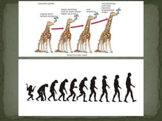  Evolução como um fato documentado e formulação
inicial da teoria
 Evolução a partir de
ancestral comum
 Modificações g...