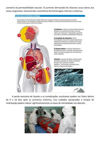 aumento da permeabilidade vascular. O aumento demasiado de citocinas causa danos aos
vasos sanguíneos, favorecendo a ocorrência de hemorragias internas e externas.
A perda excessiva de líquido e as complicações resultantes podem ser fatais dentro
de 6 a 16 dias após os primeiros sintomas, mas cuidados apropriados e terapia de
reidratação podem reduzir significativamente as taxas de mortalidade nos doentes.
 