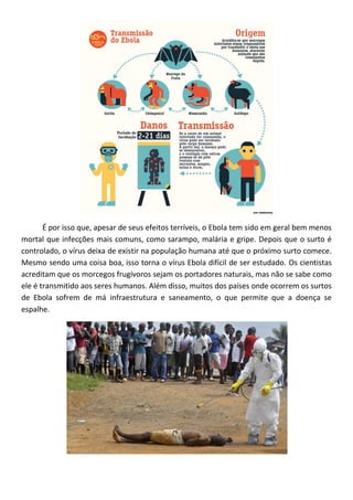 É por isso que, apesar de seus efeitos terríveis, o Ebola tem sido em geral bem menos
mortal que infecções mais comuns, como sarampo, malária e gripe. Depois que o surto é
controlado, o vírus deixa de existir na população humana até que o próximo surto comece.
Mesmo sendo uma coisa boa, isso torna o vírus Ebola difícil de ser estudado. Os cientistas
acreditam que os morcegos frugívoros sejam os portadores naturais, mas não se sabe como
ele é transmitido aos seres humanos. Além disso, muitos dos países onde ocorrem os surtos
de Ebola sofrem de má infraestrutura e saneamento, o que permite que a doença se
espalhe.
 