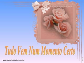 Tudo Vem Num Momento Certo www.sitecuriosidades.com.br 