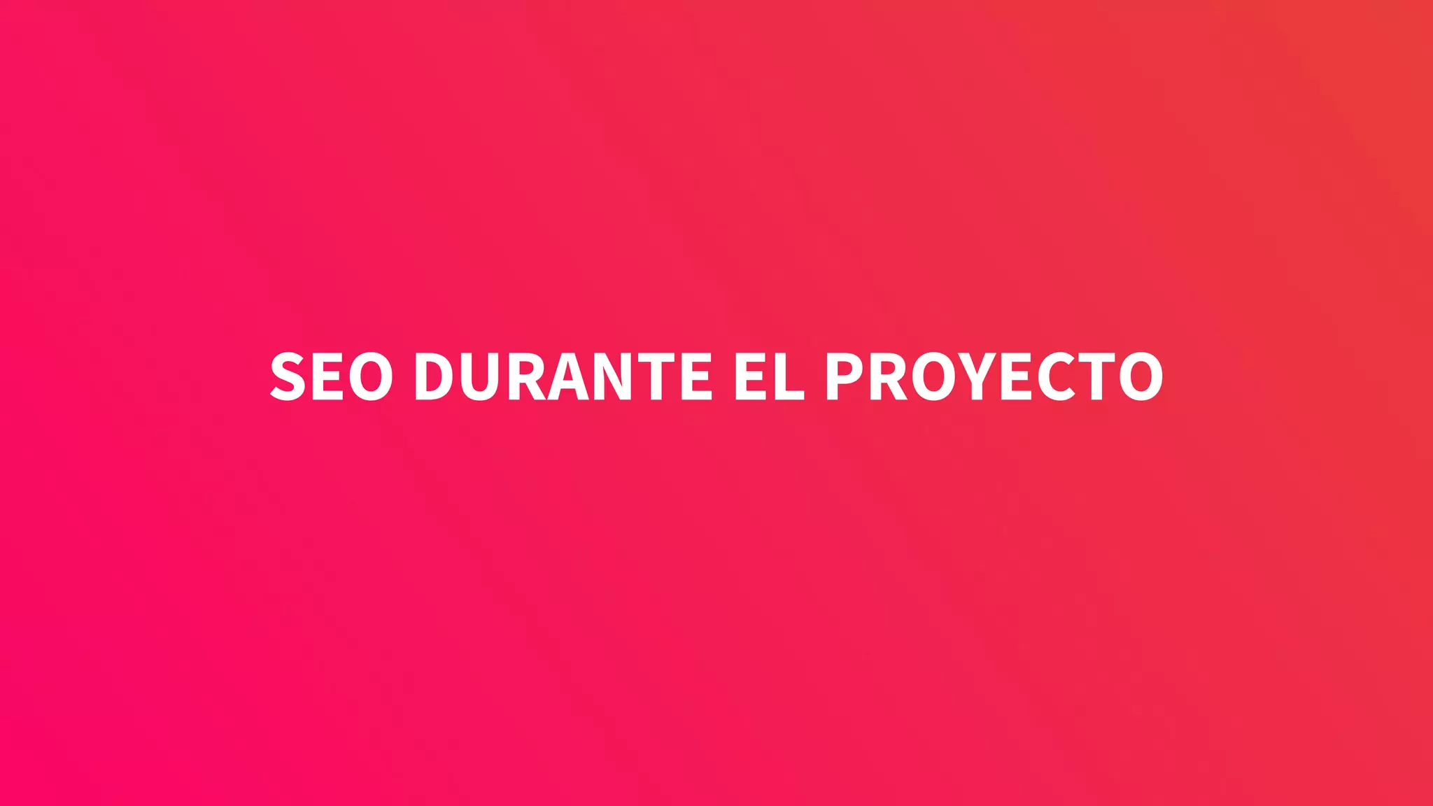 SEO DURANTE EL PROYECTO
 