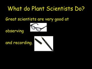 What do Plant Scientists Do?
Great scientists are very good at

observing

and recording.
 