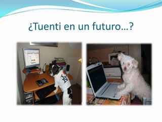 Resultados…De 0 a 15 puntos   No nece-sitas el tuenti para vivir, esta usted fuera de peligro.De 16 a 35 puntos Estás cayendo en la tentación, te falta poco para dedicarle al tuenti media vida. De 36 a 50 puntos  ¡¡¡Pide Ayuda!!! Estas enganchado y no puedes dejar el tuenti ni para ir al baño. Tienes un gran problema…