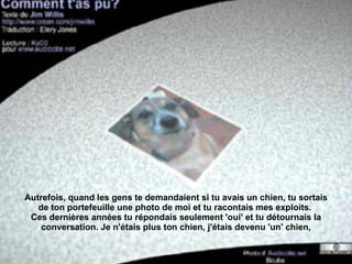 Autrefois, quand les gens te demandaient si tu avais un chien, tu sortais de ton portefeuille une photo de moi et tu racontais mes exploits.  Ces dernières années tu répondais seulement 'oui' et tu détournais la conversation. Je n'étais plus ton chien, j'étais devenu 'un' chien, 