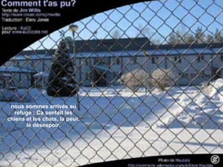 nous sommes arrivés au refuge ; Ca sentait les chiens et les chats, la peur, le désespoir. 