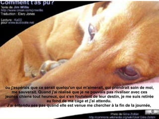 ou j'espérais que ce serait quelqu'un qui m'aimerait, qui prendrait soin de moi, me sauverait. Quand j'ai réalisé que je ne pouvais pas rivaliser avec ces jeunes chiens tout heureux, qui s'en foutaient de leur destin, je me suis retirée au fond de ma cage et j'ai attendu.  J'ai entendu ses pas quand elle est venue me chercher à la fin de la journée,  