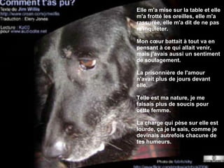 Elle m'a mise sur la table et elle m'a frotté les oreilles, elle m'a rassurée, elle m'a dit de ne pas m'inquiéter.  Mon cœur battait à tout va en pensant à ce qui allait venir, mais j'avais aussi un sentiment de soulagement.  La prisonnière de l'amour n'avait plus de jours devant elle.  Telle est ma nature, je me faisais plus de soucis pour cette femme.  La charge qui pèse sur elle est lourde, ça je le sais, comme je devinais autrefois chacune de tes humeurs.  