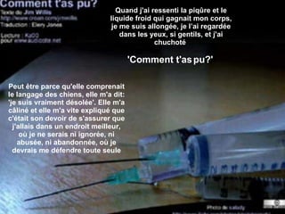 Quand j'ai ressenti la piqûre et le liquide froid qui gagnait mon corps, je me suis allongée, je l’ai regardée dans les yeux, si gentils, et j'ai chuchoté  'Comment t'as pu?'   Peut être parce qu'elle comprenait le langage des chiens, elle m'a dit: 'je suis vraiment désolée'. Elle m'a câliné et elle m'a vite expliqué que c'était son devoir de s'assurer que j'allais dans un endroit meilleur, où je ne serais ni ignorée, ni abusée, ni abandonnée, où je devrais me défendre toute seule 