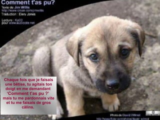 Chaque fois que je faisais une bêtise, tu agitais ton doigt en me demandant  ‘ Comment t'as pu ?’  mais tu me pardonnais vite et tu me faisais de gros câlins.  