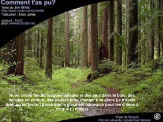 Nous avons fait de longues balades et des jeux dans le bois, des balades en voiture, des pauses pour manger une glace (je n'avais droit qu'au biscuit parce que la glace est mauvaise pour les chiens à ce que tu disais) 