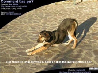 et je faisais de longs sommes au soleil en attendant que tu rentres le soir. 