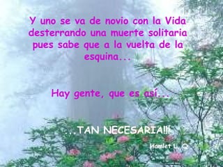 Y uno se va de novio con la Vida desterrando una muerte solitaria pues sabe que a la vuelta de la esquina... Hay gente, que es así... ...TAN NECESARIA!!! Hamlet L. Q. 