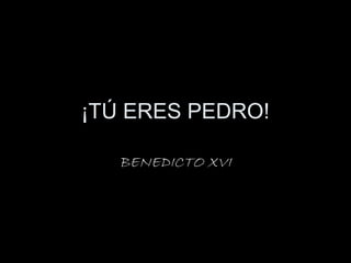 ¡TÚ ERES PEDRO!

   BENEDICTO XVI
 