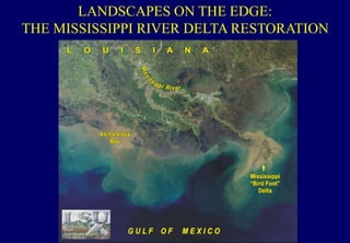 LANDSCAPES ON THE EDGE:
THE MISSISSIPPI RIVER DELTA RESTORATION
 