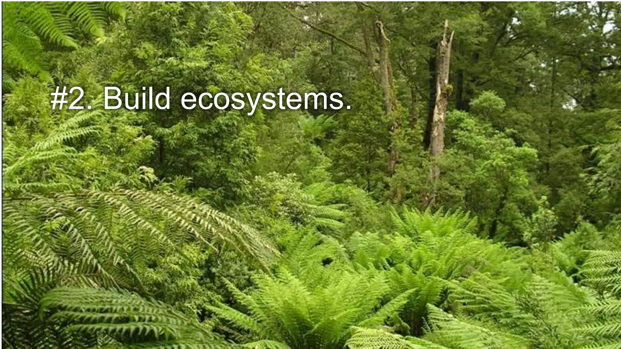 #2. Build ecosystems.