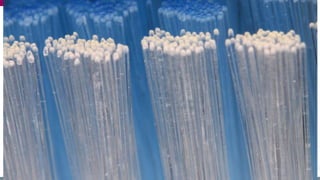 # G E C 2 0 1 6 | @ G E C G L O B A L | G E C .
C O 11