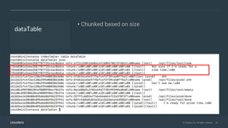 © Cloudera, Inc. All rights reserved. 20
dataTable
• Chunked based on size
 