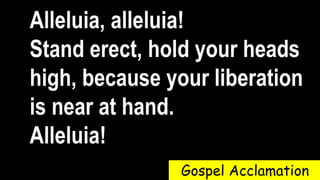 Alleluia, alleluia!
Stand erect, hold your heads
high, because your liberation
is near at hand.
Alleluia!
Gospel Acclamation
 
