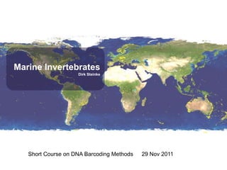 Marine Invertebrates
                    Dirk Steinke




   Short Course on DNA Barcoding Methods   29 Nov 2011
 