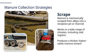 Dairy Manure Management 101: A Practical Guide for Conservation ...