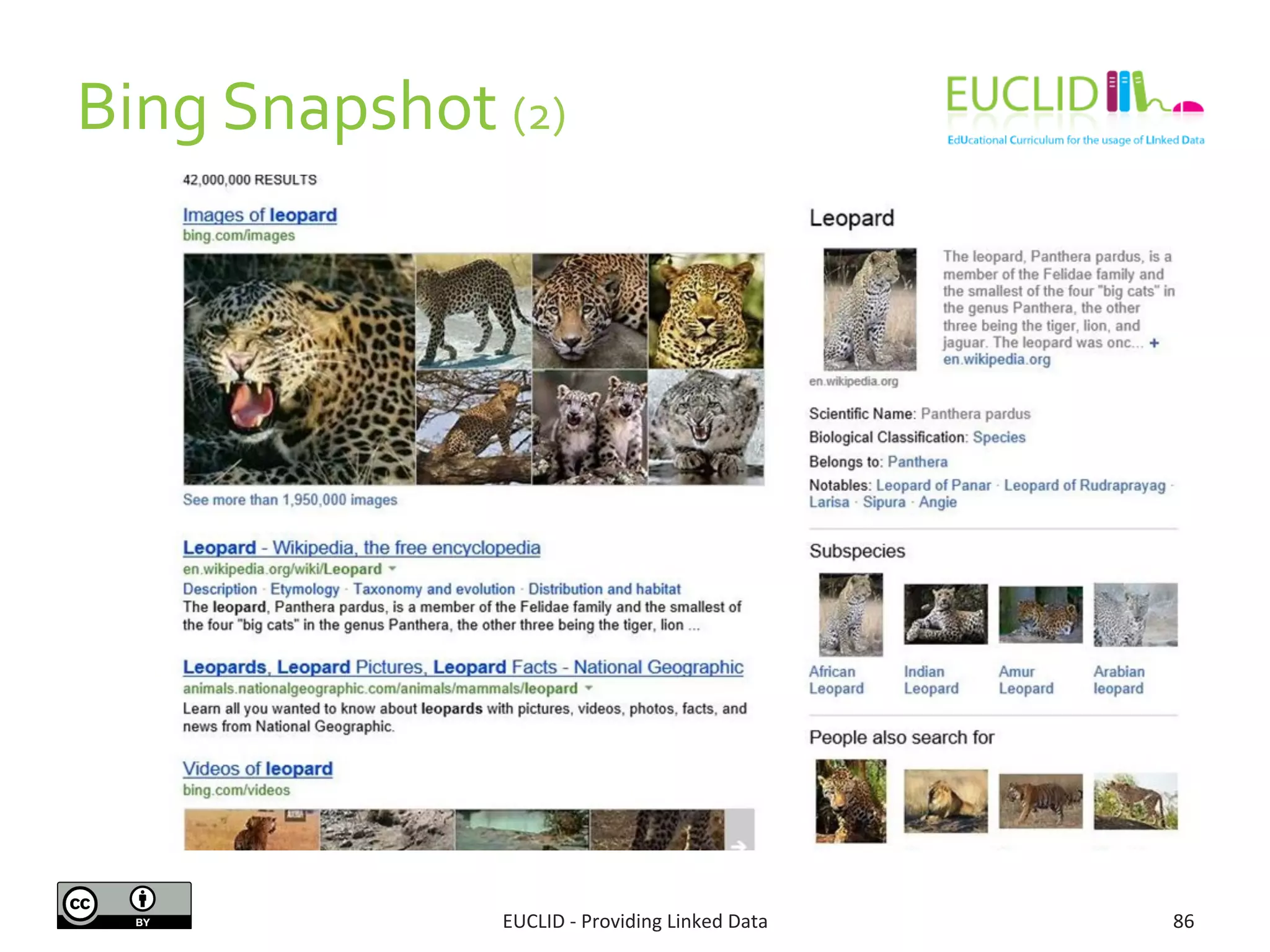 Bing	
  Snapshot	
  (2)	
  
EUCLID	
  -­‐	
  Providing	
  Linked	
  Data	
   86	
  
 
