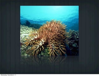 Wednesday, November 2, 11
 