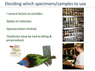 Deciding which specimens/samples to use several factors to consider: date of collection preservation method collector (may be tied to killing & preservation)  