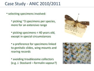 Case Study - ANIC 2010/2011 selecting specimens involved: picking ~3 specimens per species, more for an extensive range picking specimens < 40 years old, except in special circumstances  a preference for specimens linked to genitalic slides, wing mounts and rearing records avoiding troublesome collectors (e.g. J. Stockard – formalin vapour?) 
