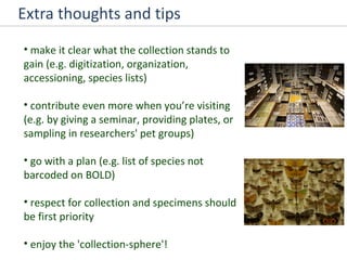 Extra thoughts and tips make it clear what the collection stands to gain (e.g. digitization, organization, accessioning, species lists)  contribute even more when you’re visiting (e.g. by giving a seminar, providing plates, or sampling in researchers' pet groups) go with a plan (e.g. list of species not barcoded on BOLD) respect for collection and specimens should be first priority enjoy the 'collection-sphere'! 