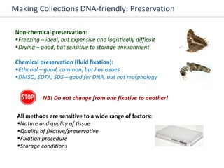 Making Collections DNA-friendly: Preservation Non-chemical preservation: Freezing – ideal, but expensive and logistically difficult Drying – good, but sensitive to storage environment NB! Do not change from one fixative to another! Chemical preservation (fluid fixation): Ethanol – good, common, but has issues DMSO, EDTA, SDS – good for DNA, but not morphology  All methods are sensitive to a wide range of factors: Nature and quality of tissue  Quality of fixative/preservative Fixation procedure Storage conditions 