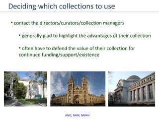 Deciding which collections to use contact the directors/curators/collection managers  generally glad to highlight the advantages of their collection often have to defend the value of their collection for continued funding/support/existence  ANIC ,  NHM ,  NMNH 