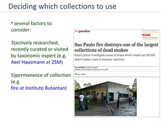Deciding which collections to use several factors to consider: actively researched, recently curated or visited by taxonomic expert (e.g.  Axel Hausmann  at  ZSM ) permanence of collection (e.g.  fire at Instituto Butantan ) 