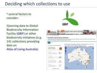 Deciding which collections to use several factors to consider: 5)serving data to Global Biodiversity Information Facility ( GBIF ) or other biodiversity initiatives (e.g. 141 collections providing data on  Atlas of Living Australia ) 
