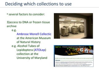 Deciding which collections to use several factors to consider: access to DNA or frozen tissue archive  e.g.  Ambrose Monell Collection for Molecular and Microbial Research  at the American Museum of Natural History e.g. Alcohol Tubes of Lepidoptera ( ATOLep ) collection at the University of Maryland 