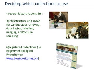 Deciding which collections to use several factors to consider: infrastructure and space for various steps: arraying, data basing, labelling, imaging, and/or sub-sampling registered collections (i.e. Registry of Biological Repositories:  www.biorepositories.org ) 