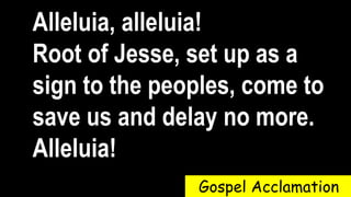 Alleluia, alleluia!
Root of Jesse, set up as a
sign to the peoples, come to
save us and delay no more.
Alleluia!
Gospel Acclamation
 