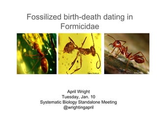 Fossilized birth-death dating in
Formicidae
April Wright
Tuesday, Jan. 10
Systematic Biology Standalone Meeting
@wrightingapril
William ChoSteve Shattuck
 
