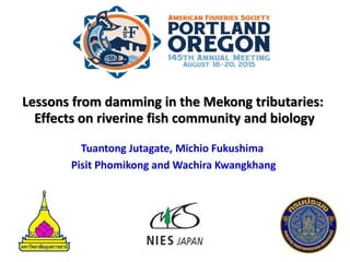 Lessons from damming in the Mekong tributaries:
Effects on riverine fish community and biology
Tuantong Jutagate, Michio Fukushima
Pisit Phomikong and Wachira Kwangkhang
 