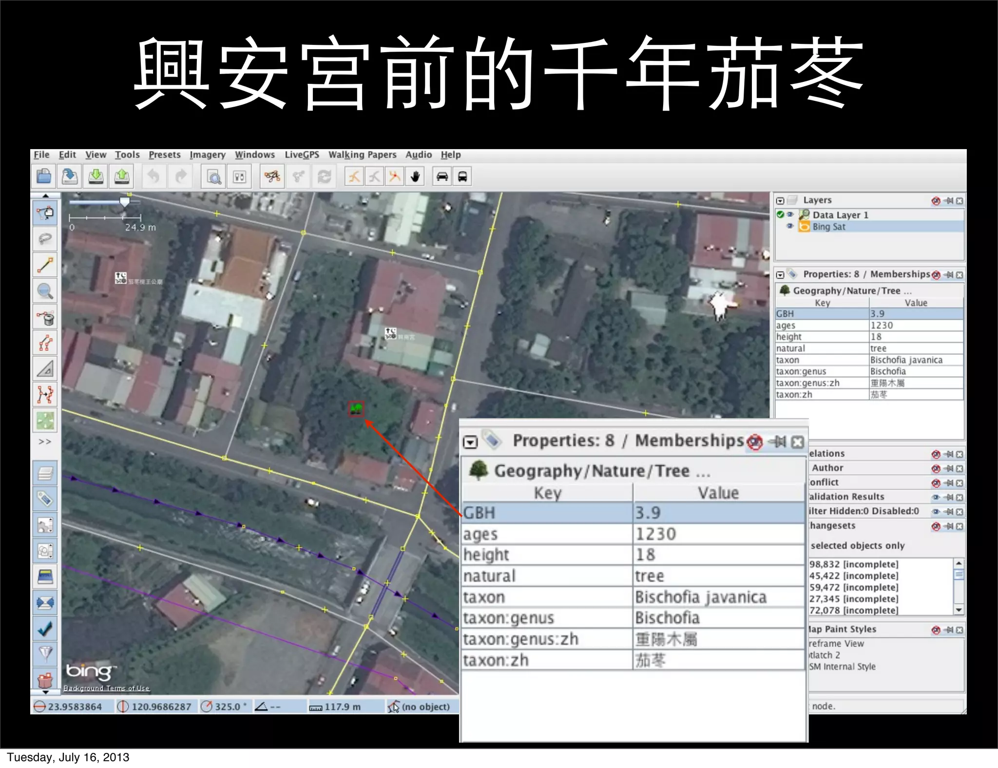 興安宮前的千年茄苳
Tuesday, July 16, 2013
 