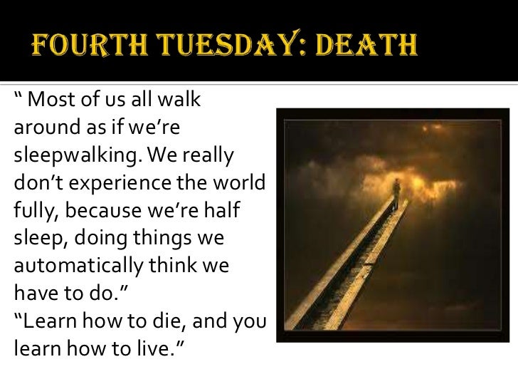 tuesdays with morrie summary