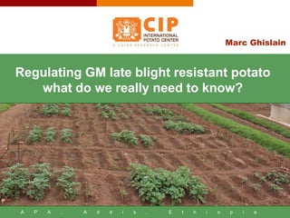 A P A , A d d i s , E t h i o p i a
Marc Ghislain
Regulating GM late blight resistant potato
what do we really need to know?
 