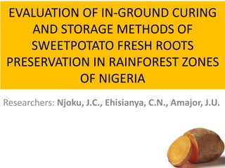 EVALUATION OF IN-GROUND CURING
AND STORAGE METHODS OF
SWEETPOTATO FRESH ROOTS
PRESERVATION IN RAINFOREST ZONES
OF NIGERIA
Researchers: Njoku, J.C., Ehisianya, C.N., Amajor, J.U.
 