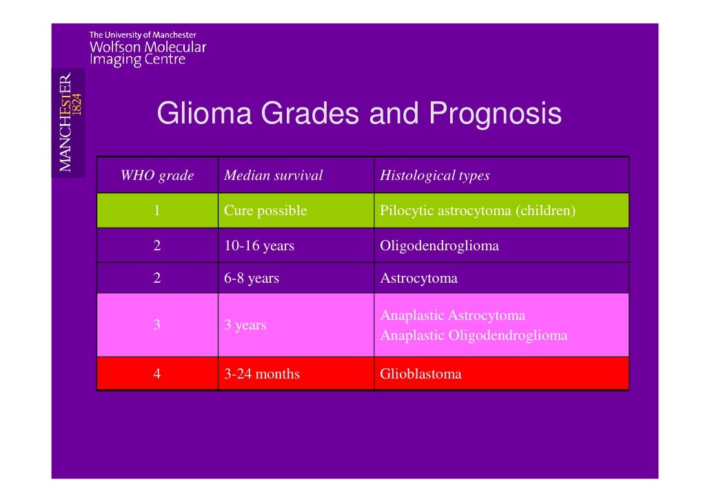 tu-esmo-imaging-of-glioma-ppt