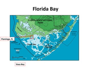 Sea Level Rise in South Florida | PPT