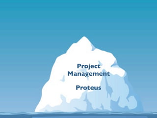 Text
  Project
Management

 Proteus
 