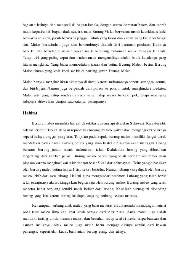 Contoh Teks Deskripsi Bahasa Inggris Tentang Hewan