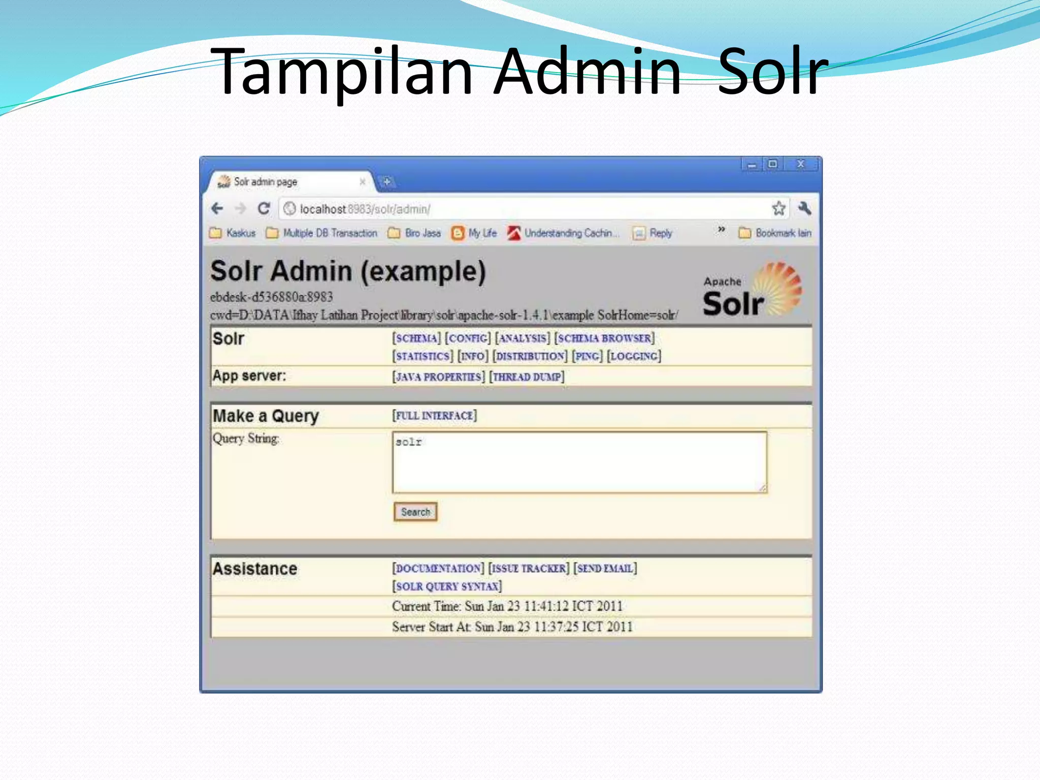 Tampilan Admin Solr
 