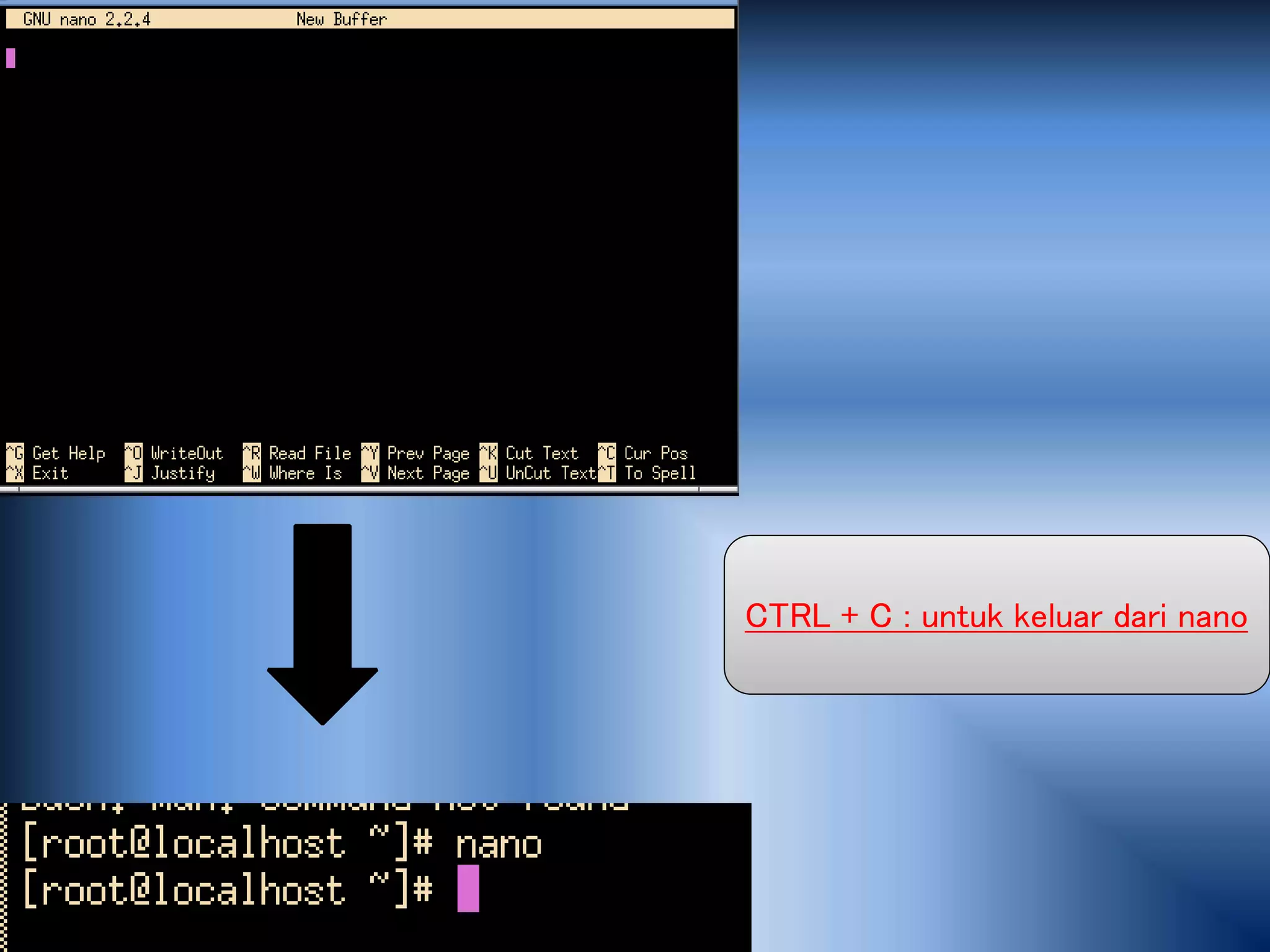 CTRL + C : untuk keluar dari nano
 