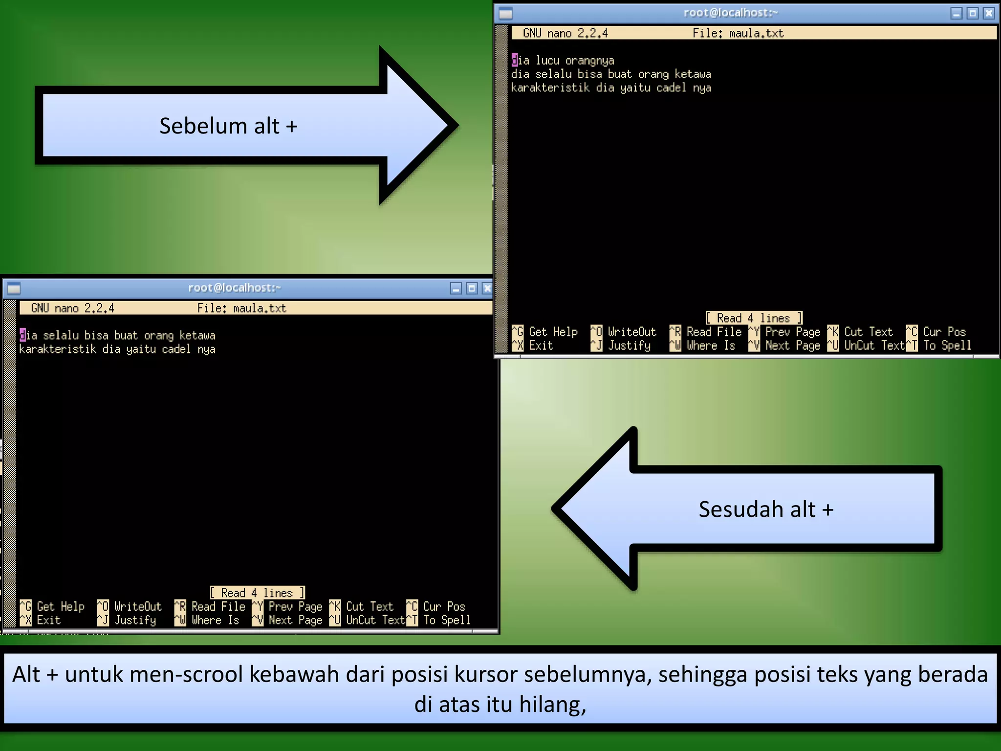 Sesudah alt +
Sebelum alt +
Alt + untuk men-scrool kebawah dari posisi kursor sebelumnya, sehingga posisi teks yang berada
di atas itu hilang,
 
